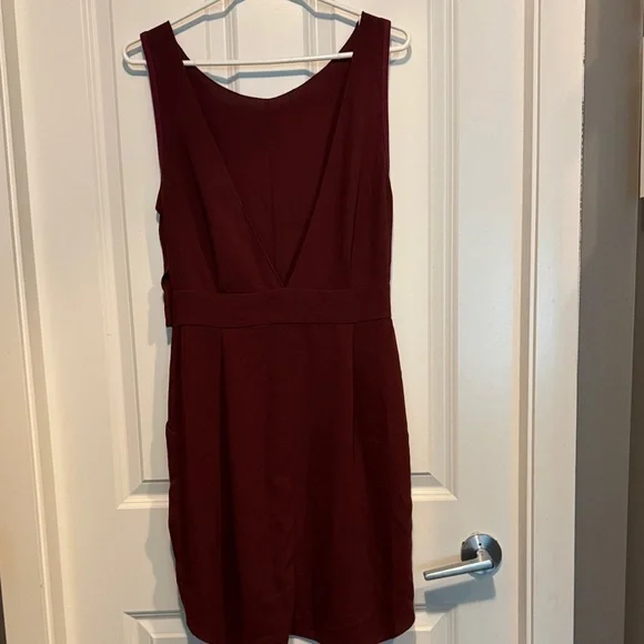 Wilfred Deep Red Mini Dress - Picture 6 of 7